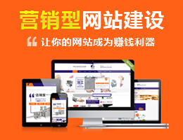 蝌蚪网络科技 专业网站开发建设，助企业打造高质量线上门户